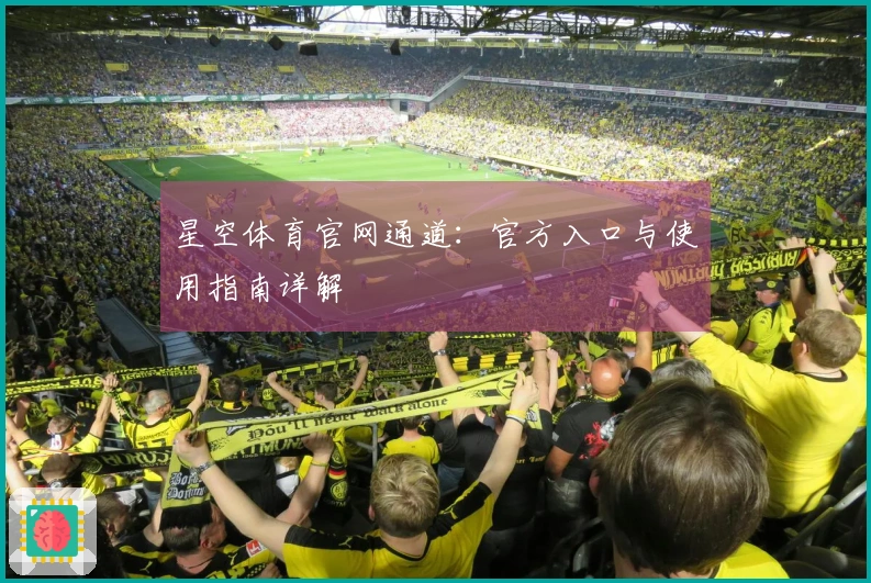 星空体育官网通道：官方入口与使用指南详解