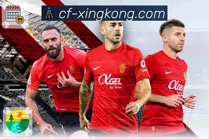 <strong>xingkong</strong>App 赛事入口预览